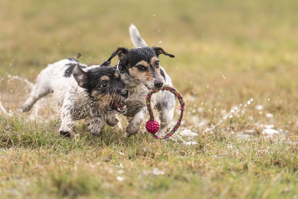 10. Platz Karoline Thalhofer